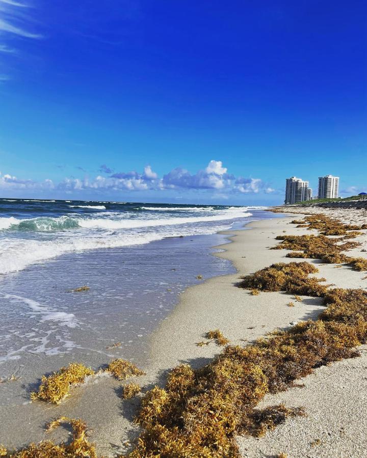 Cozy Sun And Sky 2 Hotell West Palm Beach Exteriör bild