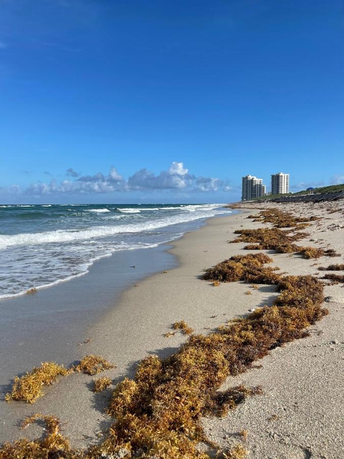 Cozy Sun And Sky 2 Hotell West Palm Beach Exteriör bild